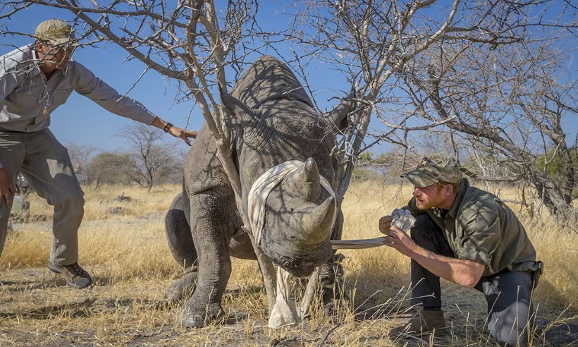 Prince Harry and Meghan Markle - The royal love affair with Botswana