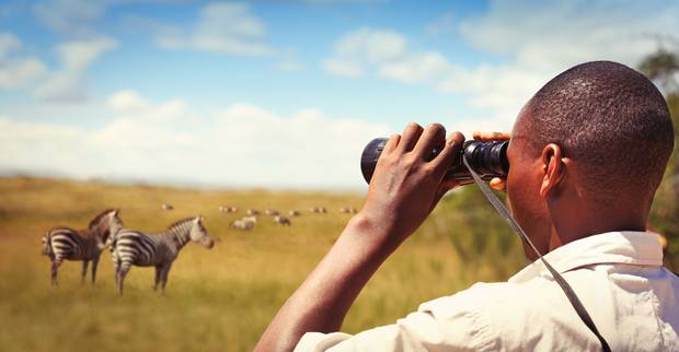 A park ranger watching zebras in Akagera national park. Photo / Getty Images